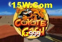 VIP Casino kz999
